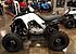 2019 Yamaha Raptor 90 for sale 200719843